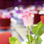 Vorfreude Galaball 2023: Vorfreude. Photo: www.ballfotograf.one