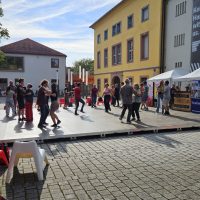 07.08.2025 ab 17 Uhr Erlangen tanzt! 2025: That Swing: Collegiate Shag. Photo: AM
